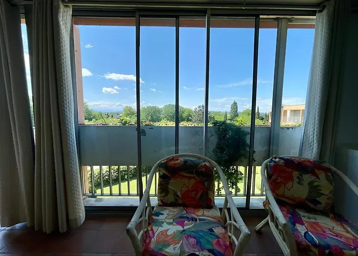 Le Vintage Des Oliviers - Vue Aude Ascenseur Et Parking 公寓 卡尔卡松